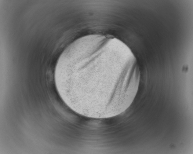 X0000113740086200910211134