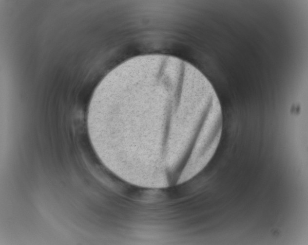 X0000113740087200910211134