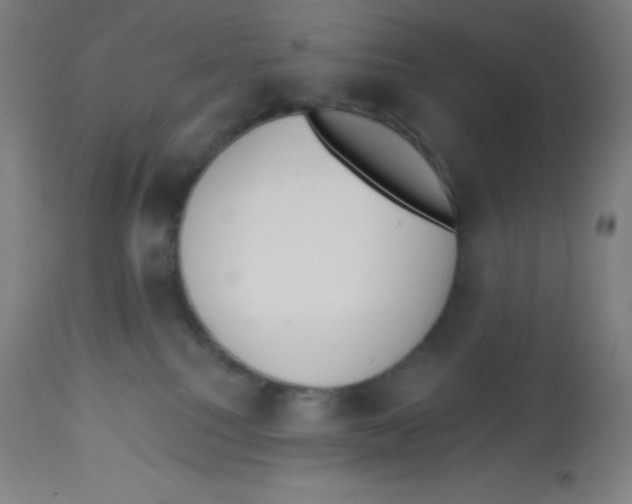 X0000113740088200910211134