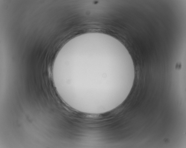 X0000113740089200910211134