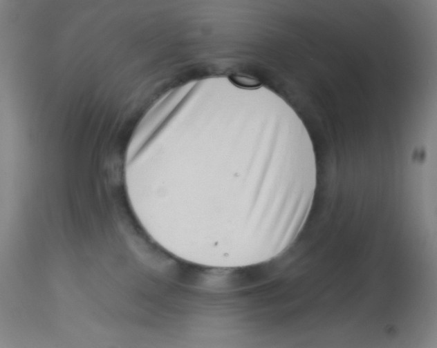 X0000113740090200910211134