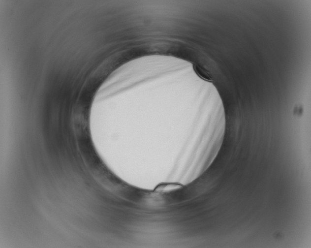 X0000113740091200910211134