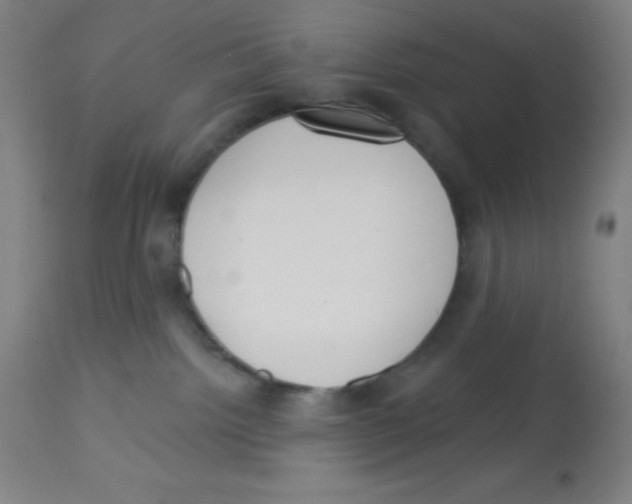 X0000113740092200910211134
