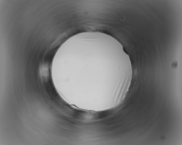 X0000113740094200910211134