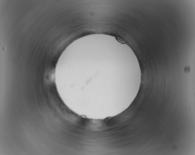 X0000113740095200910211134