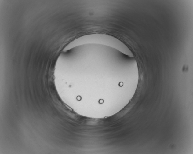 X0000113740096200910211134