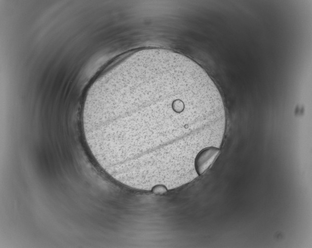 X0000113740098200910211133