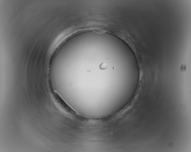 X0000113740101200910211133