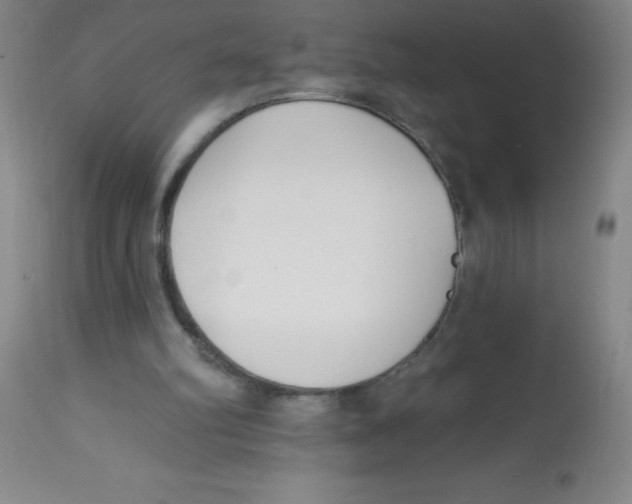 X0000113740102200910211133