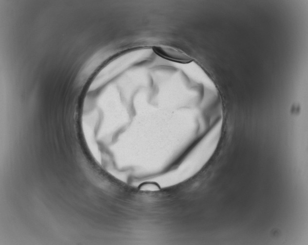 X0000113740103200910211133