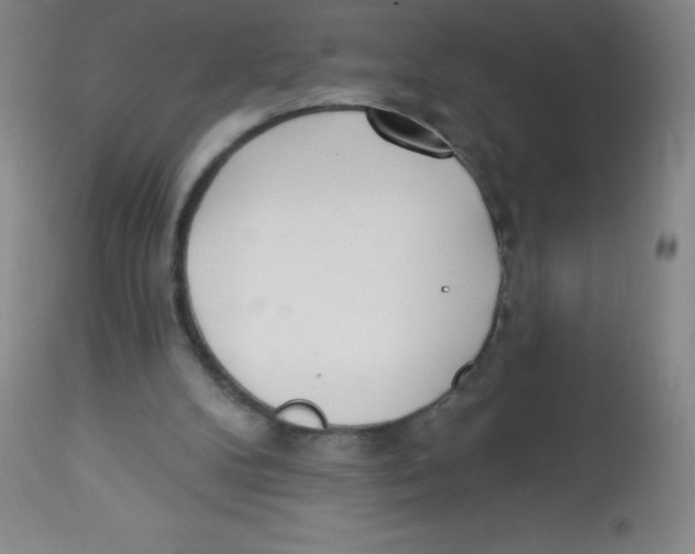 X0000113740104200910211133