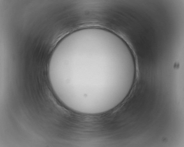X0000113740105200910211133