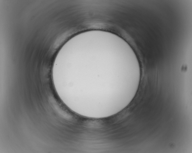 X0000113740106200910211133