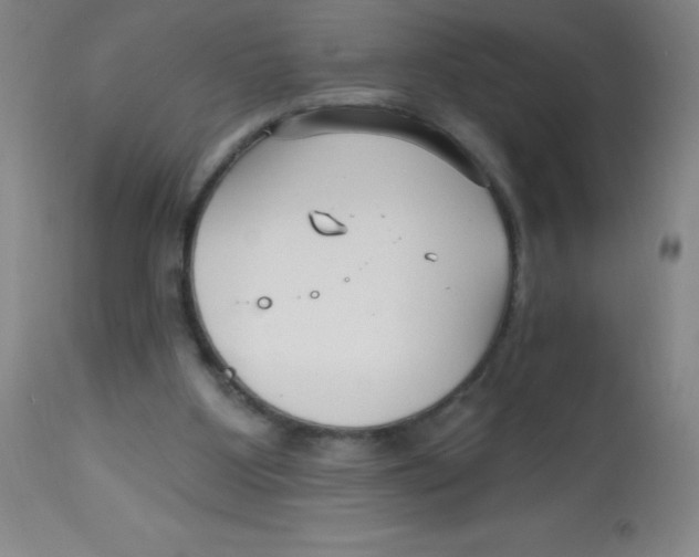 X0000113740107200910211133