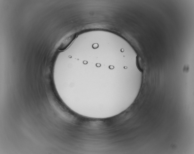 X0000113740108200910211133