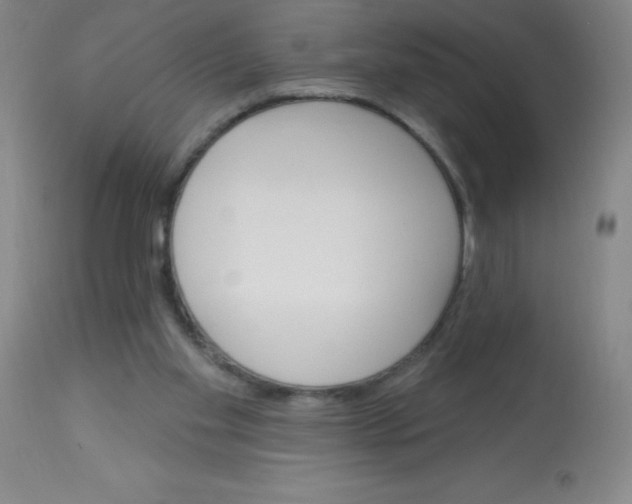 X0000113740109200910211133