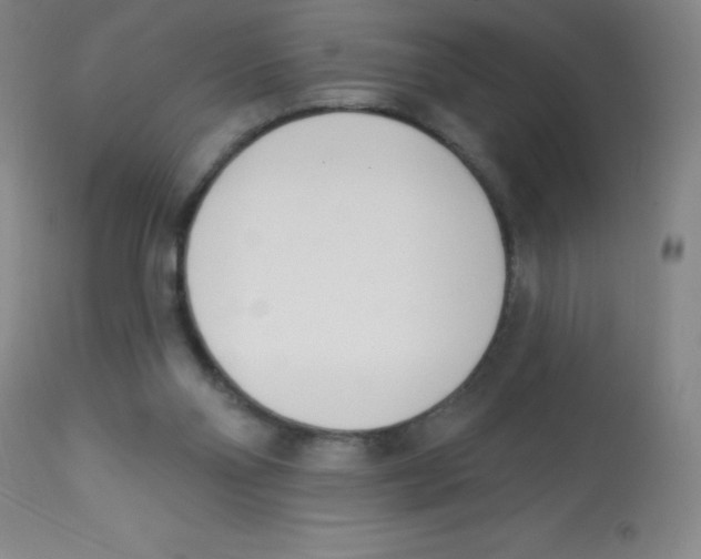 X0000113740110200910211133