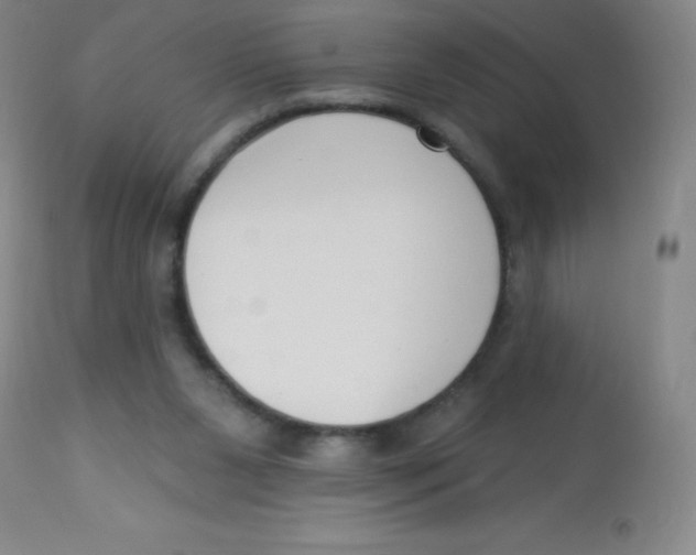 X0000113740111200910211133