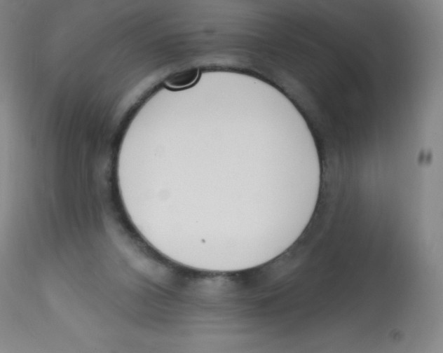 X0000113740112200910211133