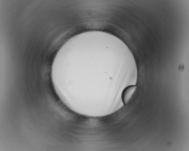 X0000113740114200910211133