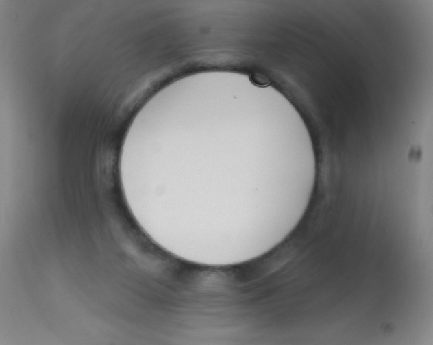 X0000113740115200910211133