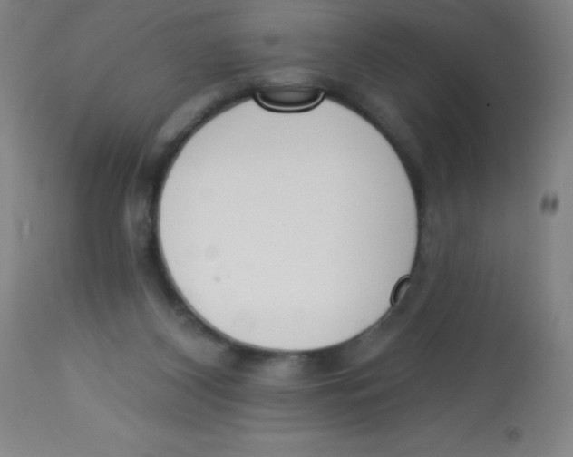 X0000113740116200910211133