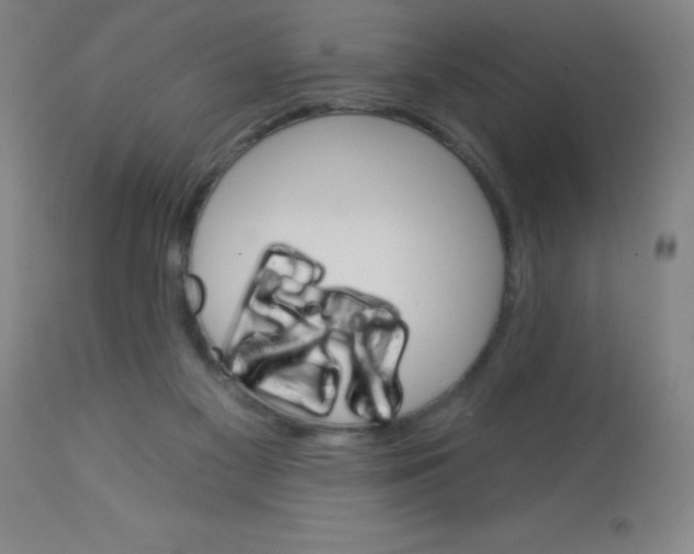 X0000113740117200910211133