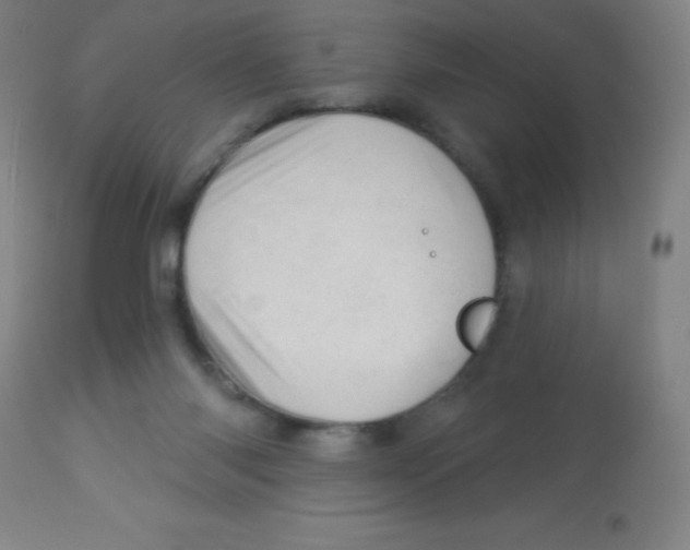 X0000113740118200910211133