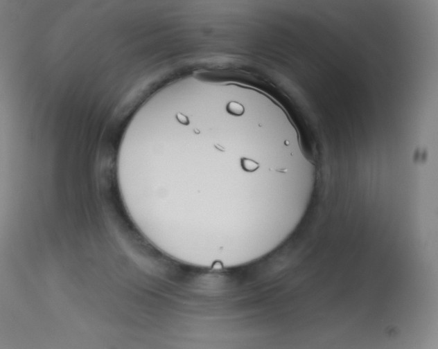 X0000113740119200910211133