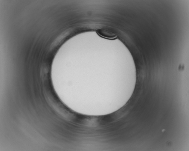 X0000113740120200910211133