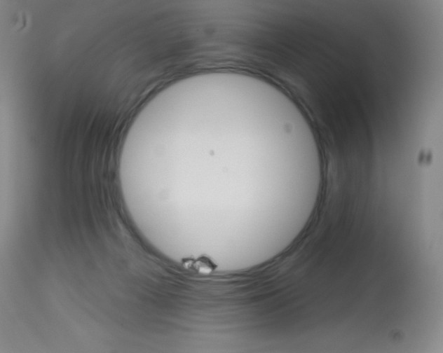 X0000113740121200910211133