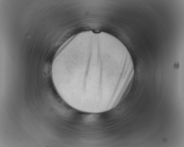 X0000113740122200910211133