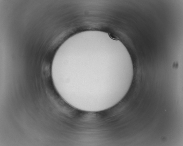 X0000113740123200910211133