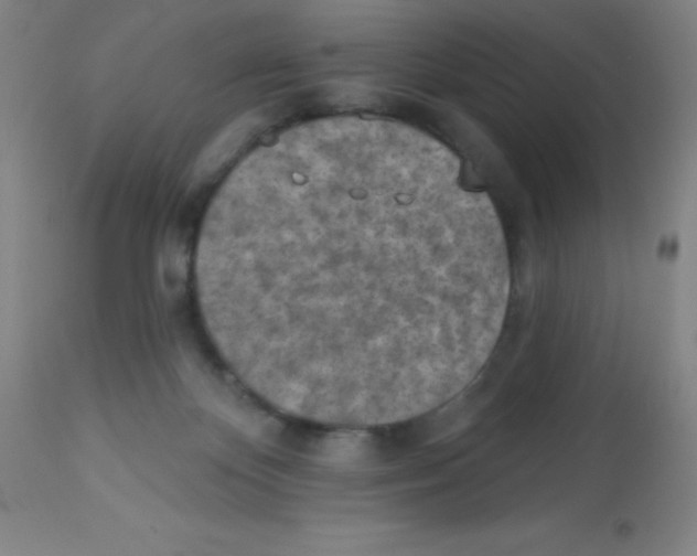 X0000113740124200910211133
