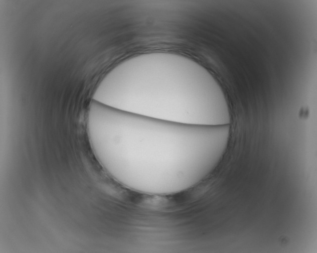 X0000113740125200910211133