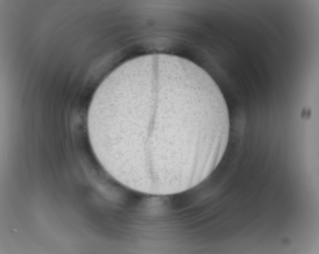 X0000113740126200910211133