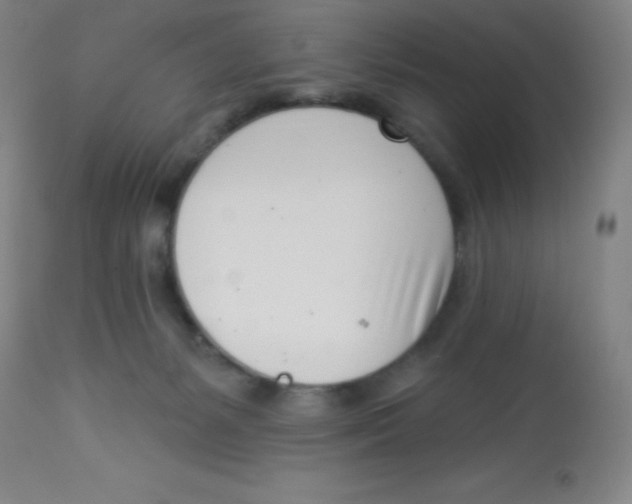 X0000113740127200910211133