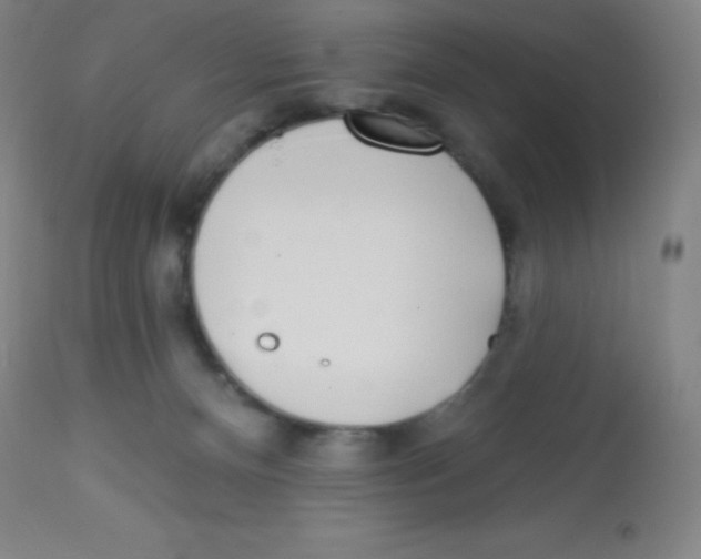 X0000113740128200910211133