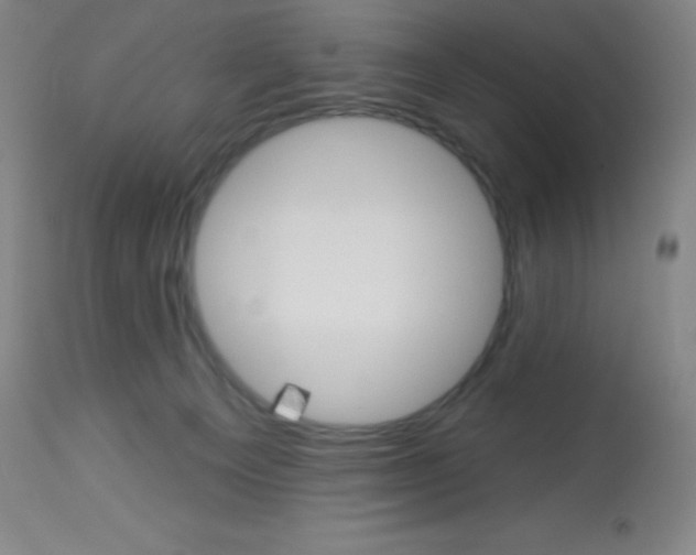 X0000113740129200910211133