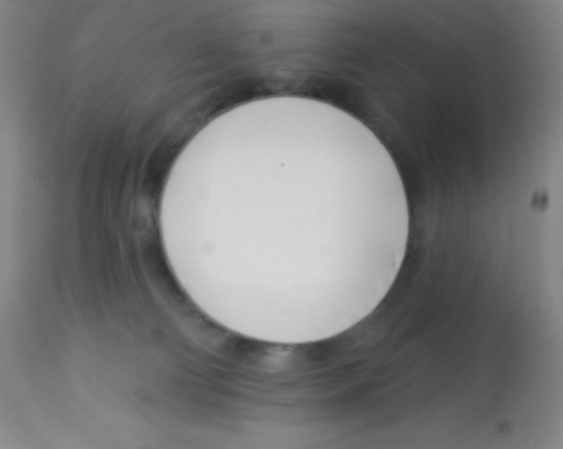 X0000113740130200910211133