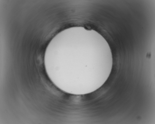 X0000113740131200910211133