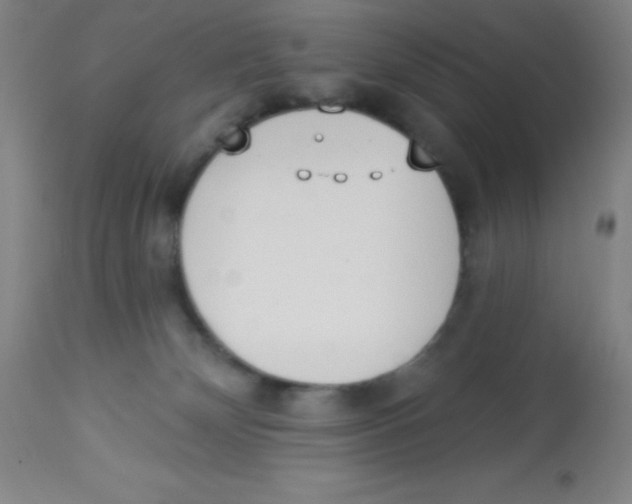 X0000113740132200910211133