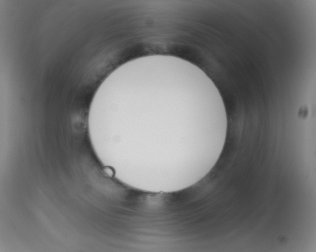 X0000113740134200910211133