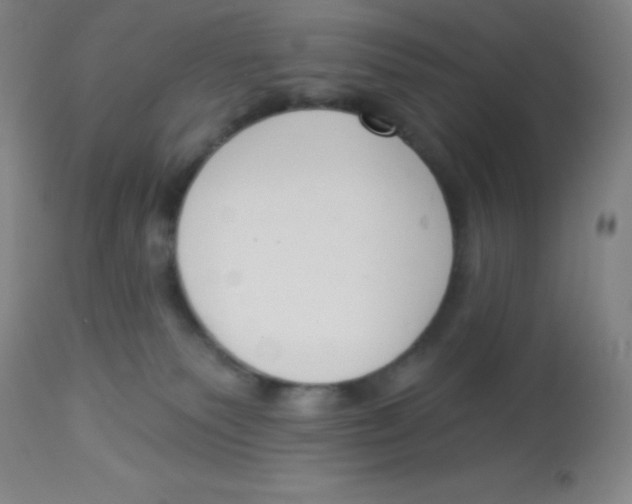 X0000113740135200910211133