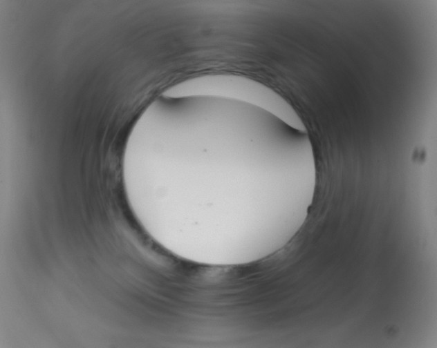X0000113740136200910211133