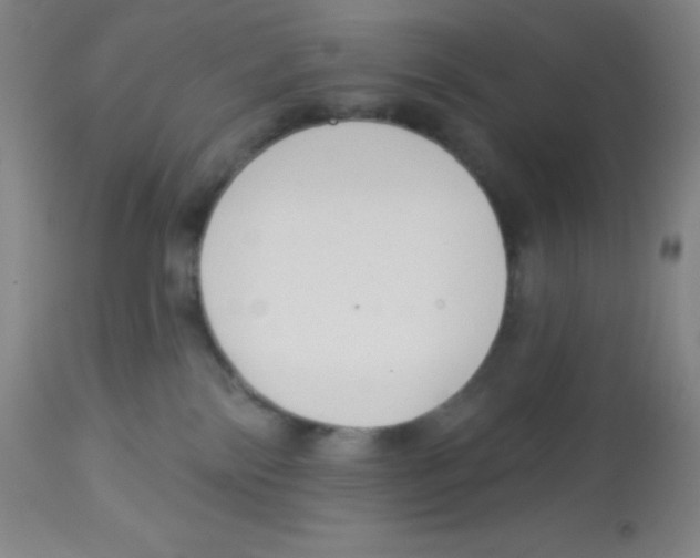 X0000113740138200910211133