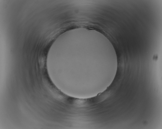 X0000113740139200910211133