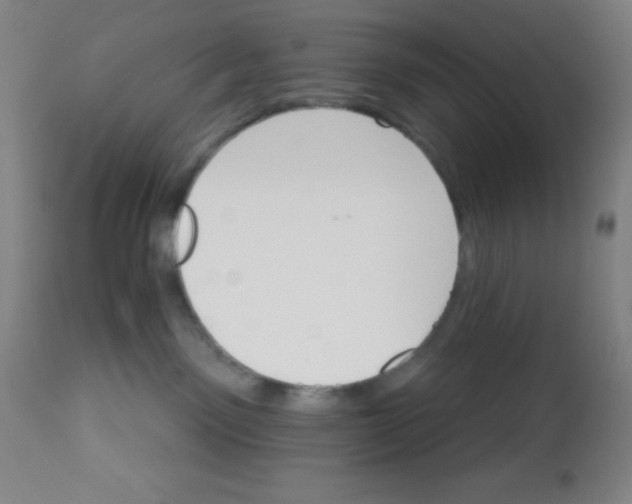 X0000113740141200910211133