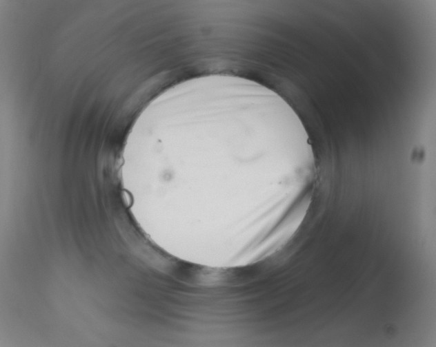 X0000113740142200910211133