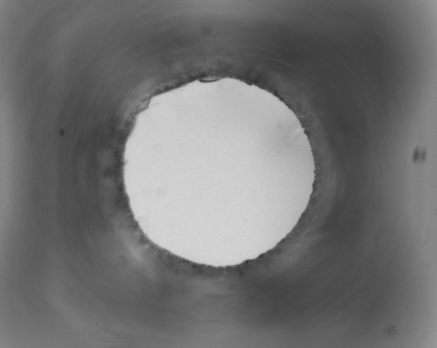 X0000113740144200910211133